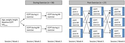 Exercise Intensity-Dependent Effects on Cognitive Control Function during and after Acute Treadmill Running in Young Healthy Adults